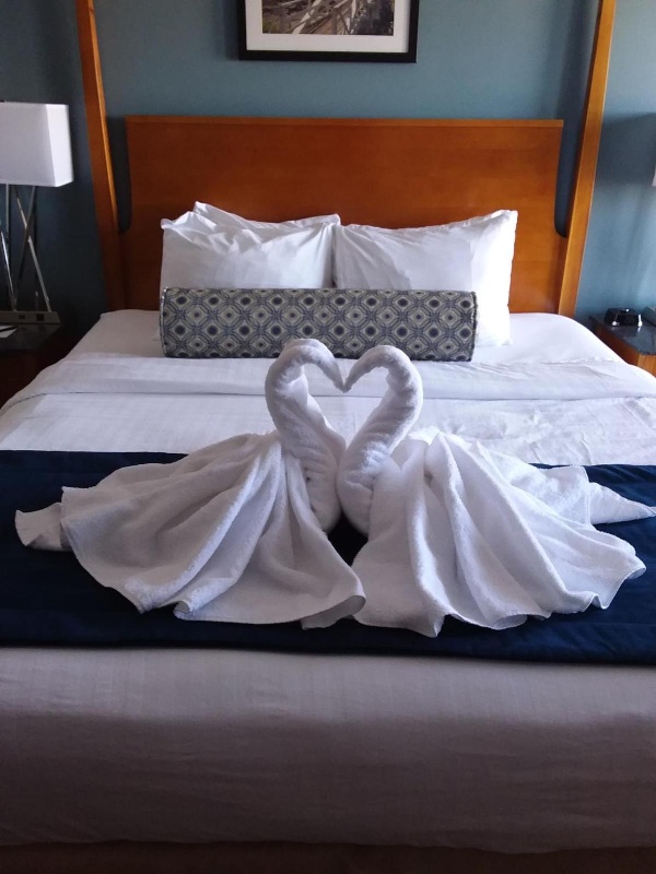 Rockland Harbor Hotel image 5